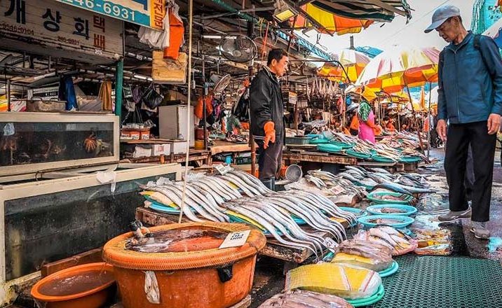 Migliori Mercati Street Food Busan