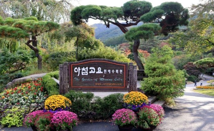 giardino calma mattutina piu antico giardino privato corea