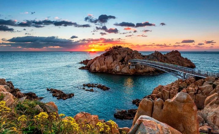 ulsan hyundai cacciatori balene corea del sud