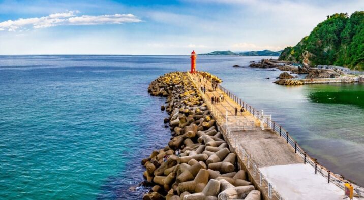 gangneung citta caffe mare corea