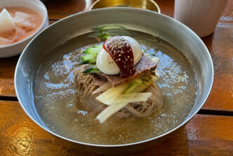 naengmyeon guida ai noodles freddi coreani