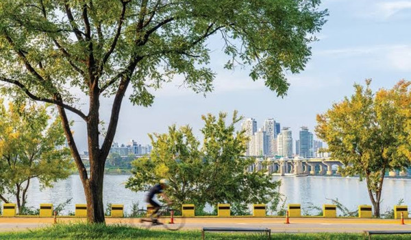 Mangwon Hangang Park